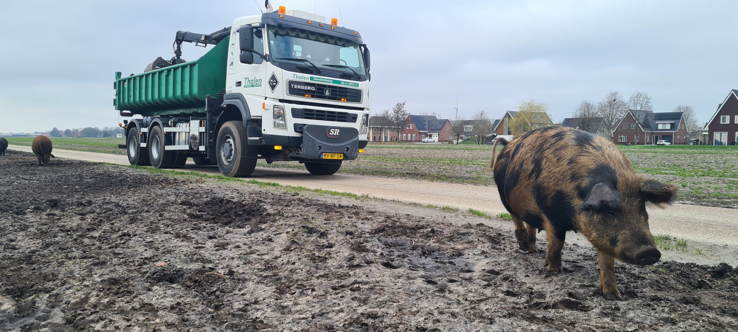 WhatsApp Image 2024-04-15 at 12.07.34