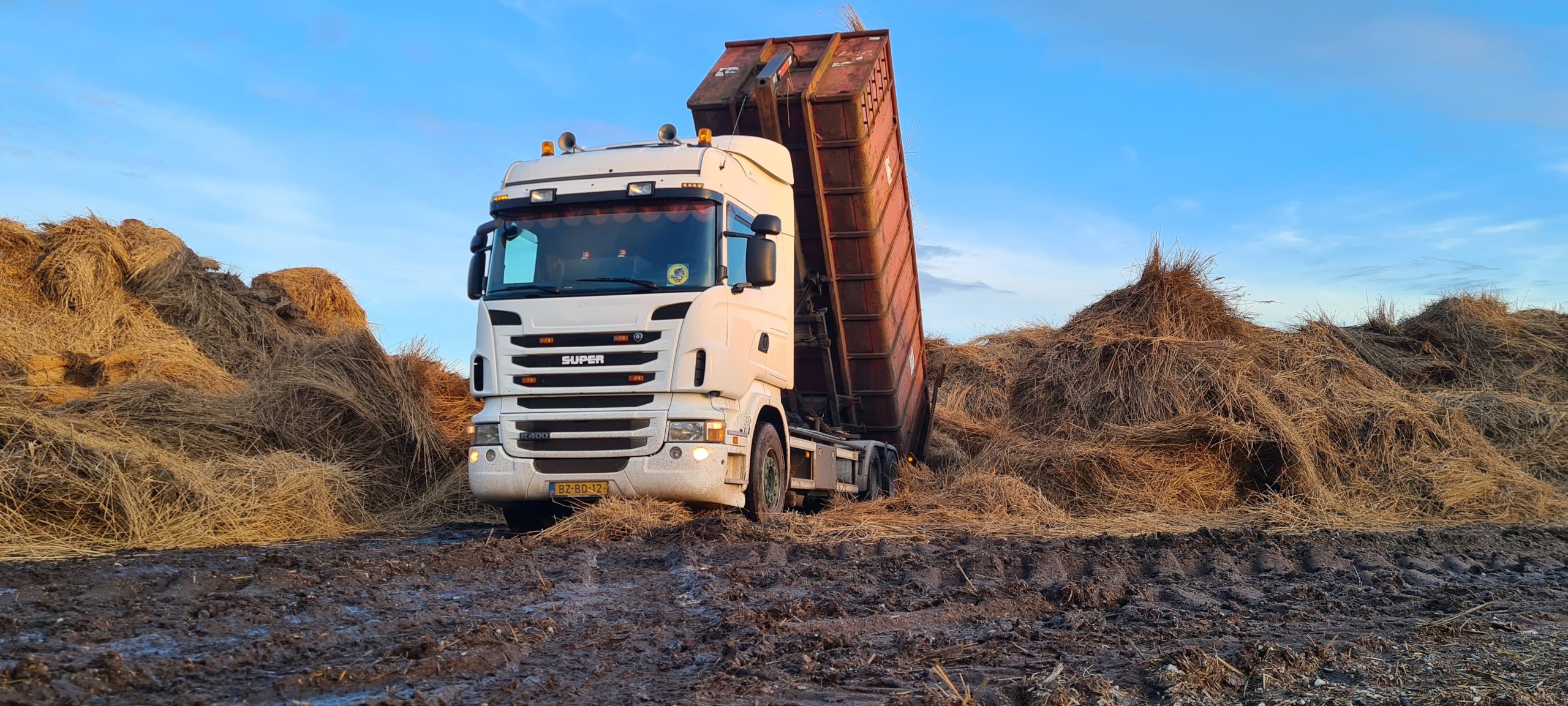 WhatsApp Image 2024-04-15 at 12.07.56 (1)